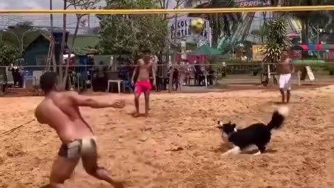 Skills.. 💪
