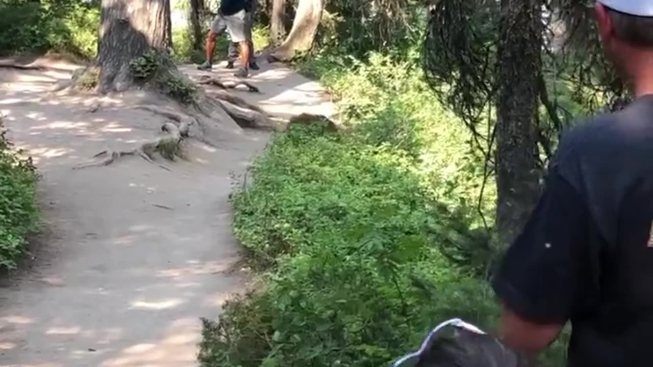 Hikers Have Close Encounter With Mama Bear and Cubs