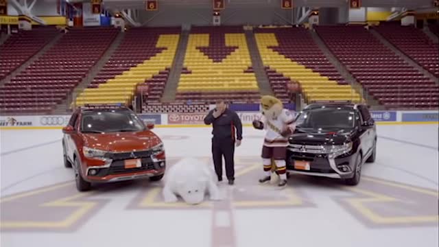 White Bear On Ice