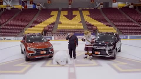 White Bear On Ice