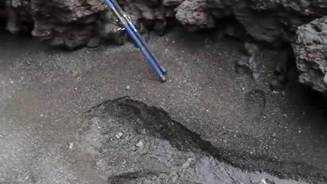 Field fishing