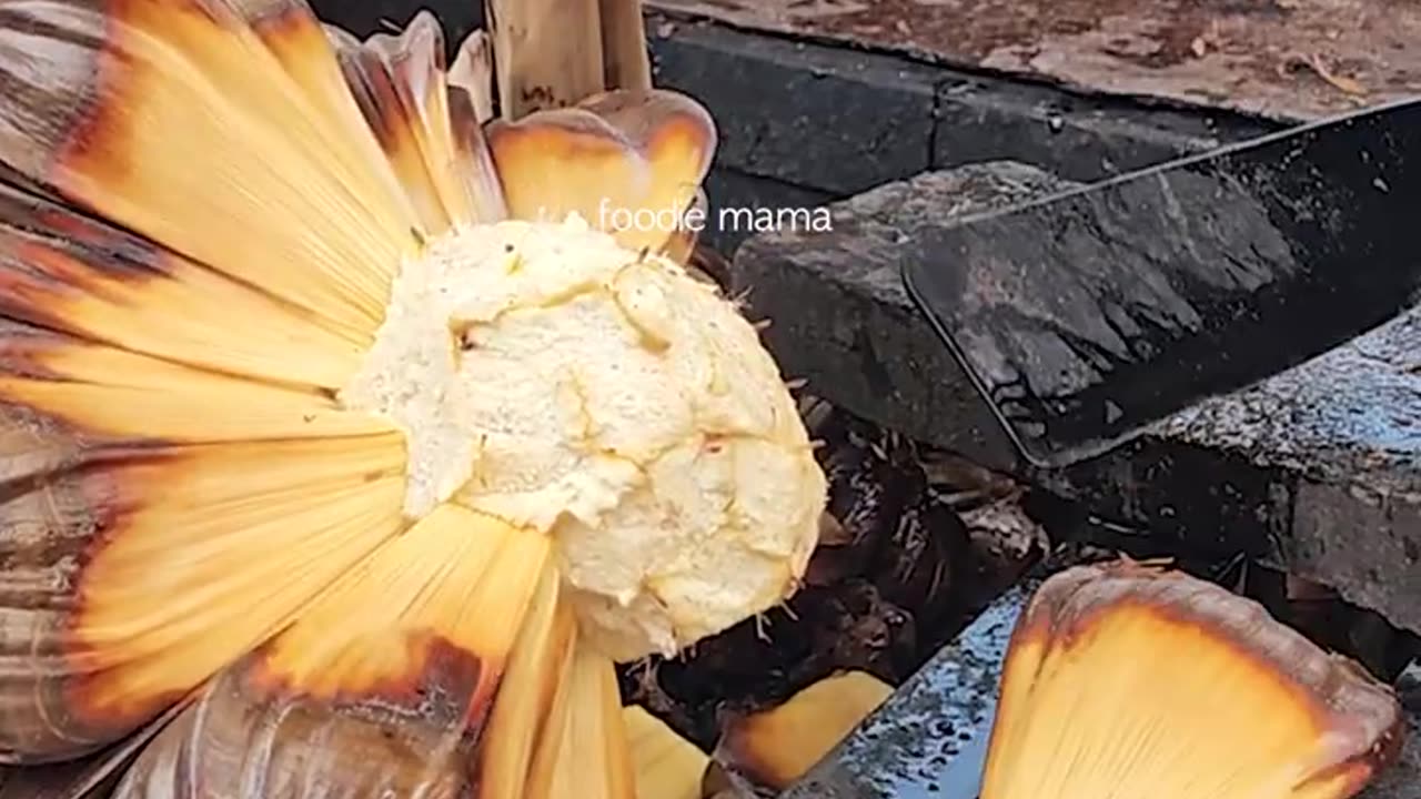 Amazing! The Most Unique Fruit Juice in the World- Nipa Palm Fruit Cutting Skills