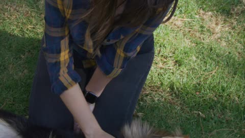 Baby Dogs - Cute and Funny Dog Videos