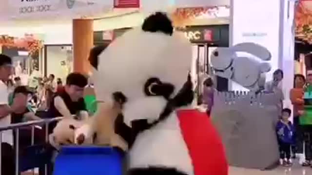 Pandas fight comedy show