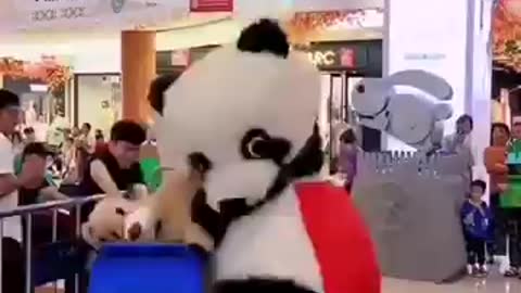 Pandas fight comedy show