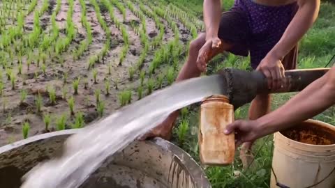 Thai farmer method 🚰