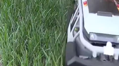 A Fun Way To Mow The Lawn