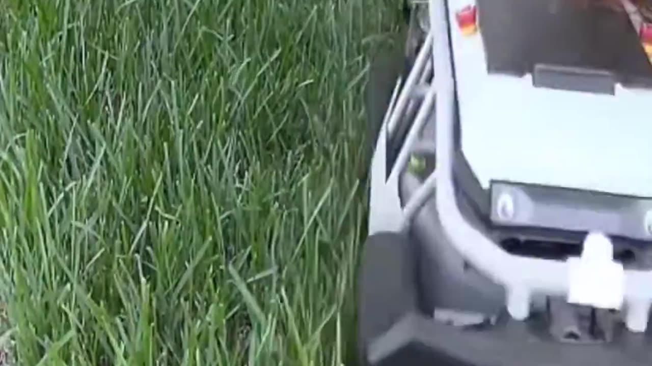 A Fun Way To Mow The Lawn