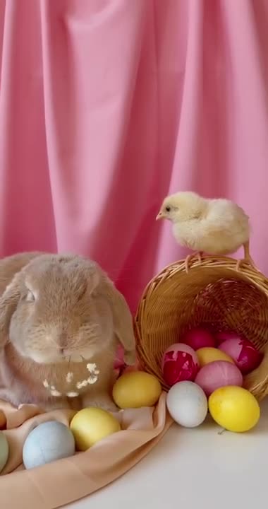 Conceptual Video Of Easter Celebration