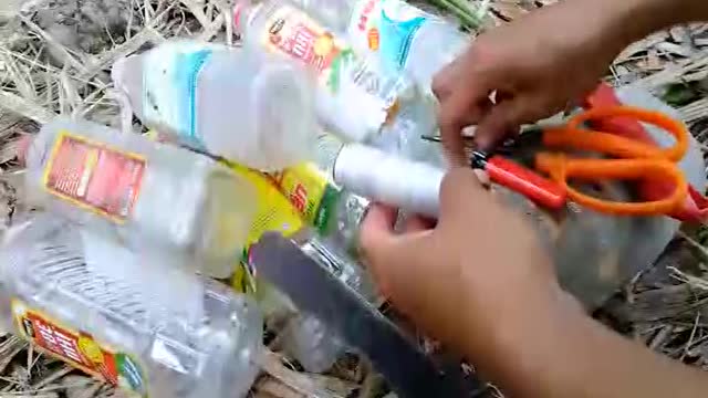 bắt cá bóng