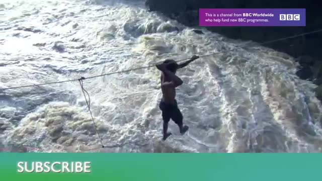 Lobsters Battle for a Breeding Pit | Blue Planet | BBC Earth