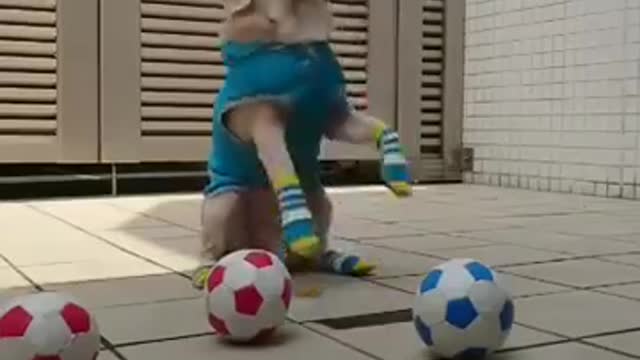 Dog funny video while his man throughout the ball