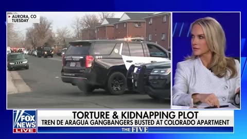 'The Five': Illegal migrant gangbangers busted in kidnapping, torture plot