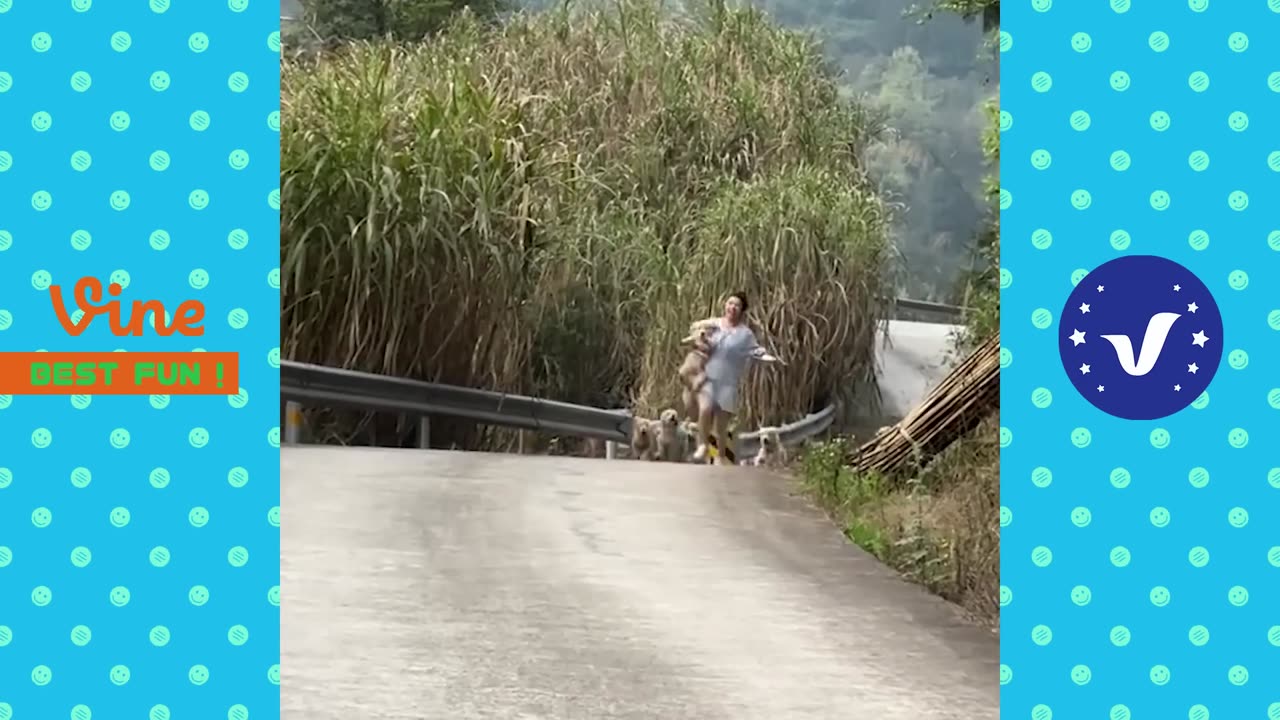 Omg, very funny 🤣🤣