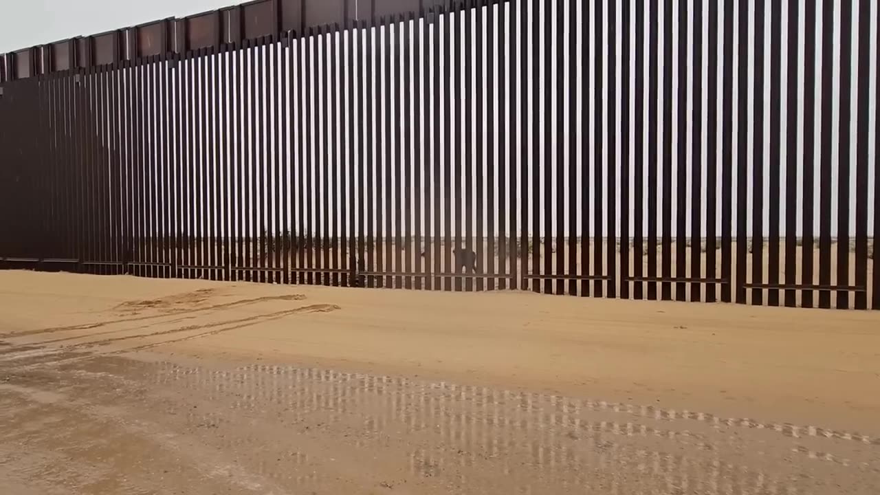 SHOCKING FOOTAGE! Watch Migrants Climb Border Wall. San Luis Arizona.