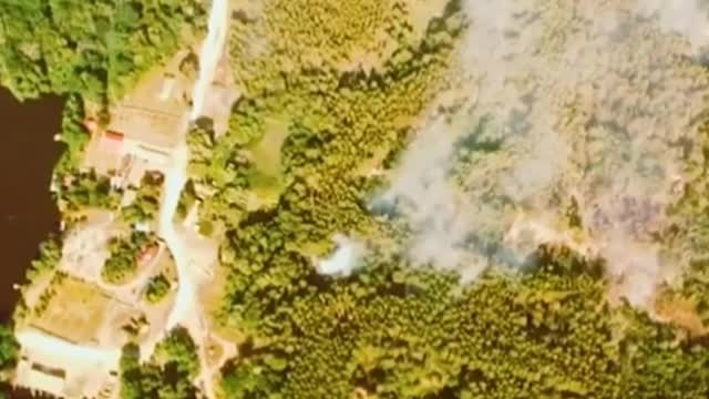 Ukrainian troops destroy entire Russian artillery division hiding in the woods