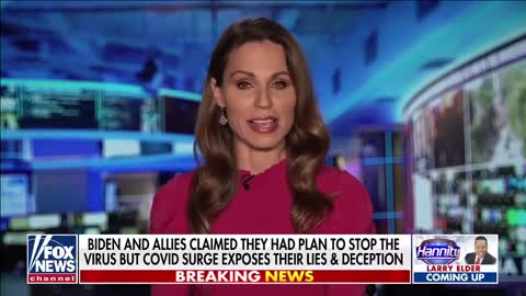 Hannity Fox News medical contributor Dr. Nicole Saphier and Dr. Marc Siegel on medical treatments for covid
