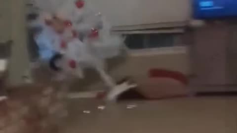 Funny Cat video | funny Cat 2023 | funny video 3