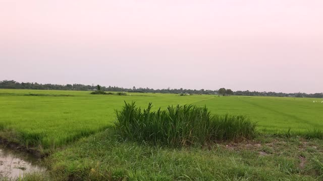 [vietnam travel] countryside sunset