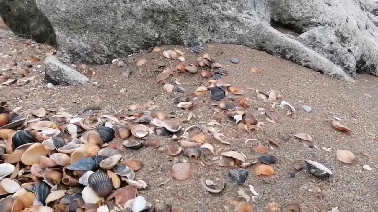 ASMR sea sounds. The seashore is beautiful today and always