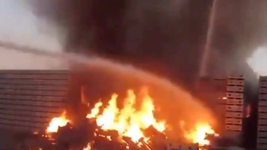 SHORTAGE - Full Documentary