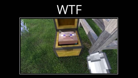 WAIT WHAT(minecraft)#1