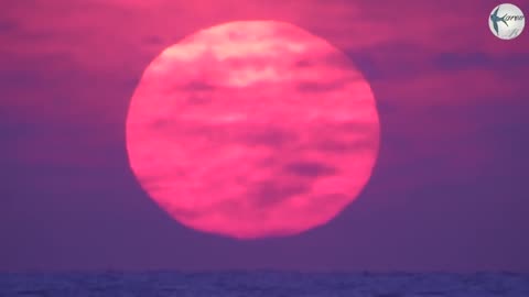 How the Sun Rises and Sets on a Flat Earth