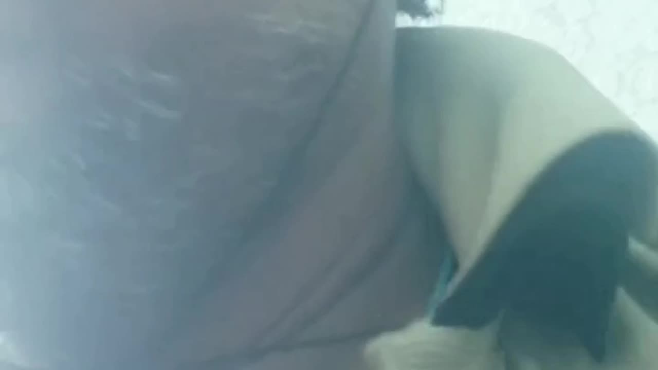 Mera Dil hai bada naadan kumar sanu