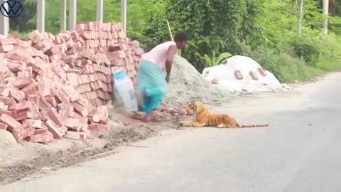 "Rolling on the Floor Laughing: Scary Fake Tiger Prank by All Time Prank!"