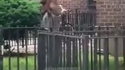 A different flavor of street fight