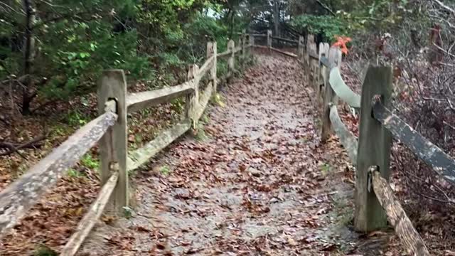 Beach Trail