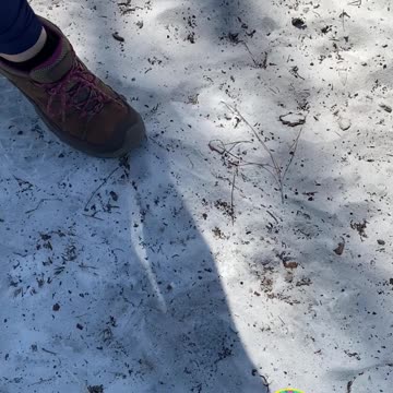 WHAT DID SHE FIND? 😂