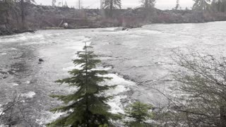 Exploring Deschutes River Trail – Central Oregon – 4K