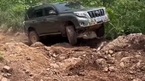 Land Cruiser in its natural habitat 😨 Land Cruiser 🔥