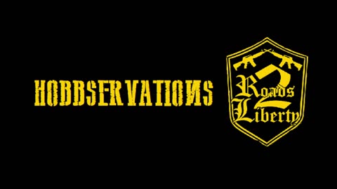Hobbservations: HushHolsters