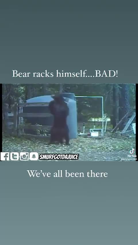 Bear Racks Himself…OUCH!