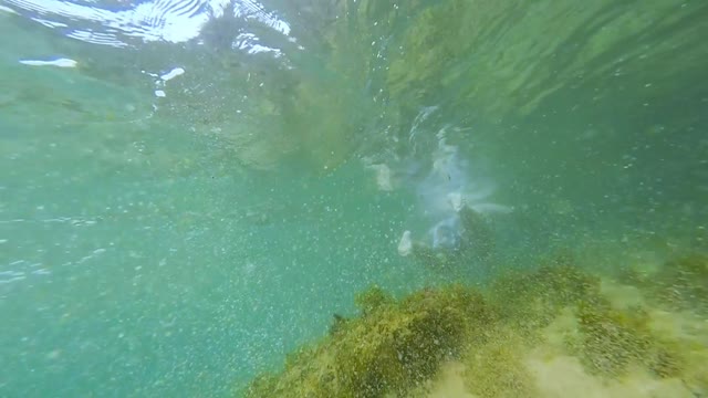 Underwater beach shot from Dorado, PR