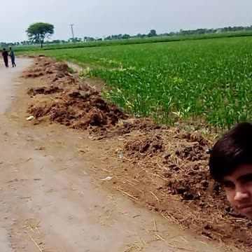 Rumble vi video trained blog barrel video rumble blog video viral print rumble