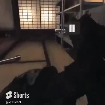 From Gas to Safety to Battle for the Win