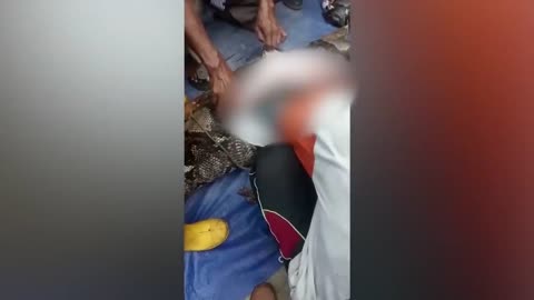 Indonesian woman swallowed whole by python