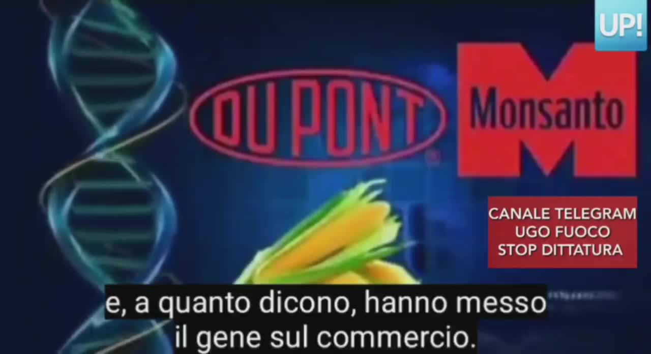 🔴💣STERILIZZAZIONE CONSAPEVOLE, LA MONSANTO TI SOMMINISTRA IL GENE BREVETTATO