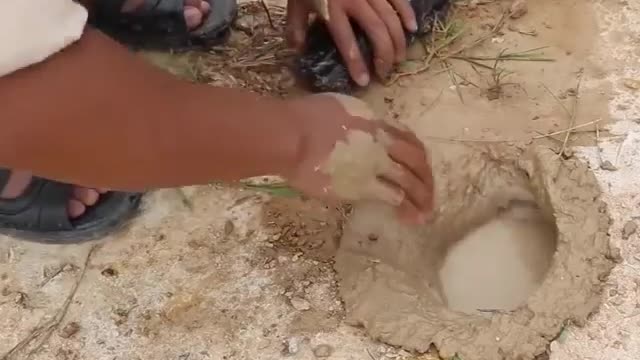 Python attacks catfish in a hole