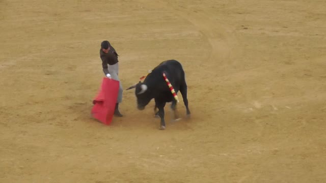 BORJA NAVARRO - HUESCA 14-05-22