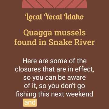 Quagga mussels found in Snake River