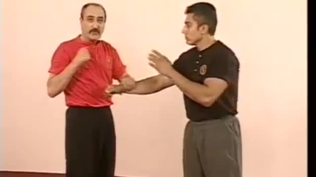 Combat Hapkido