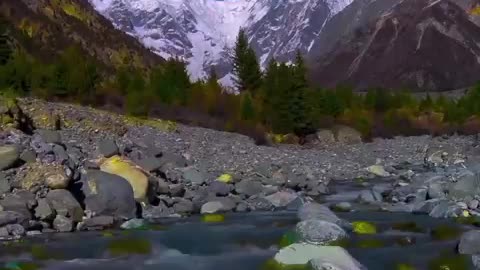 Beauty of Nature