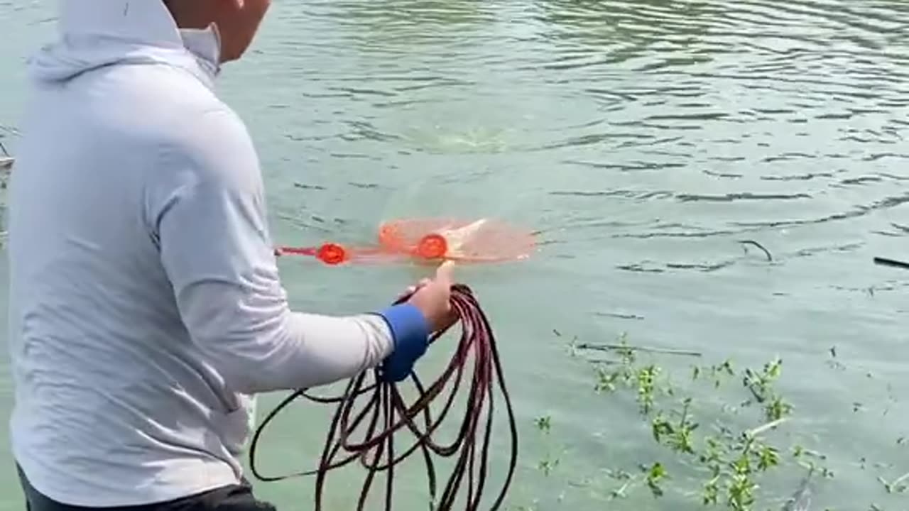 Fish hunting videos