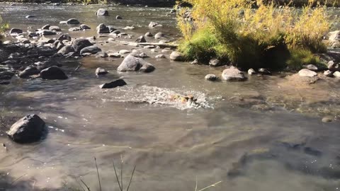 Stopped at the river on a hike.