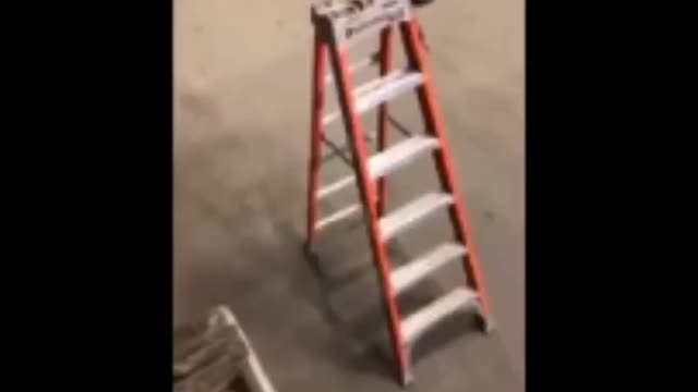 Funny clips of memes
