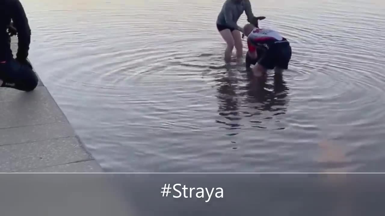 Kangaroo Shake Hands with Humans after being Saved (Australia)